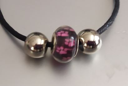 Rondelka s fuchsiovými tlapkami