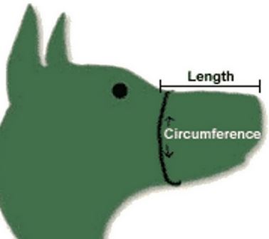 Kde se měří rozměry pro náhubek?