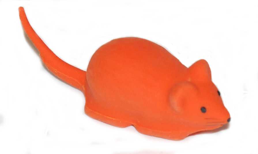 myšička myšička