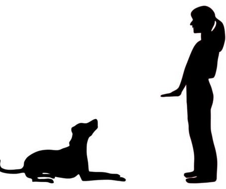 Obedience