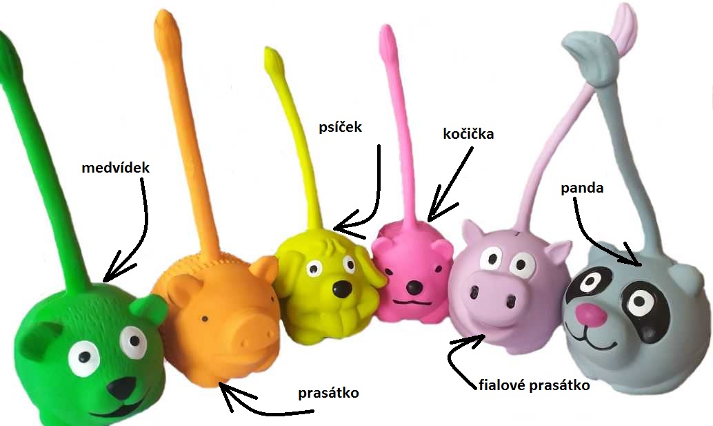 Zvířátka s dlouhým ocáskem