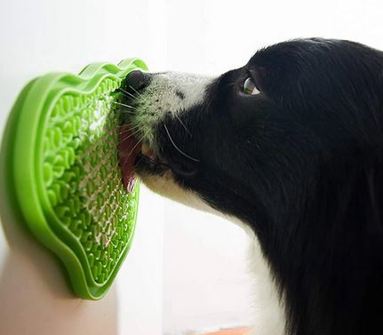 Licki Mat