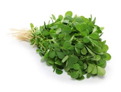 Pískavice