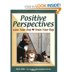 Positive Perspektives - originální přebal