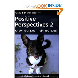 Positive Perspektives 2 - originální přebal