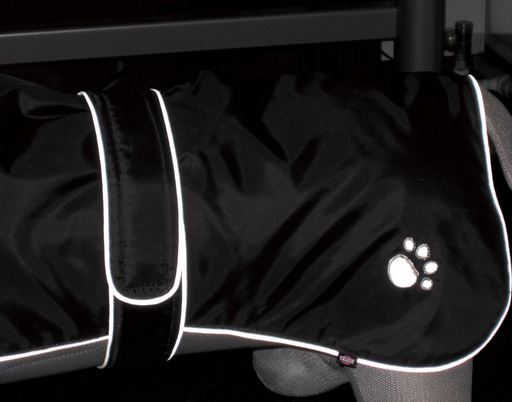 Vesta při osvětlení reflexních prvků