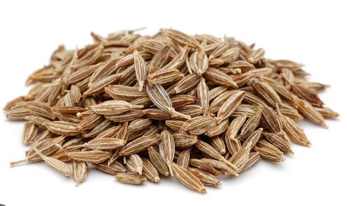 perský kmín caraway
