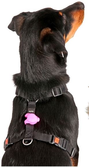 Upevnění silikonového světýlka na postroj