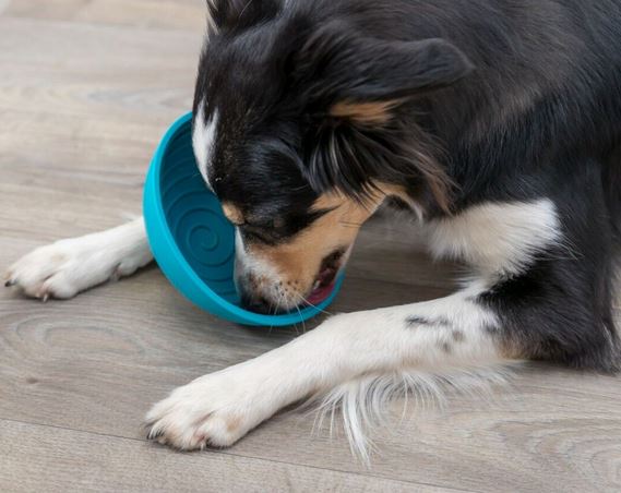 Snack Bowl