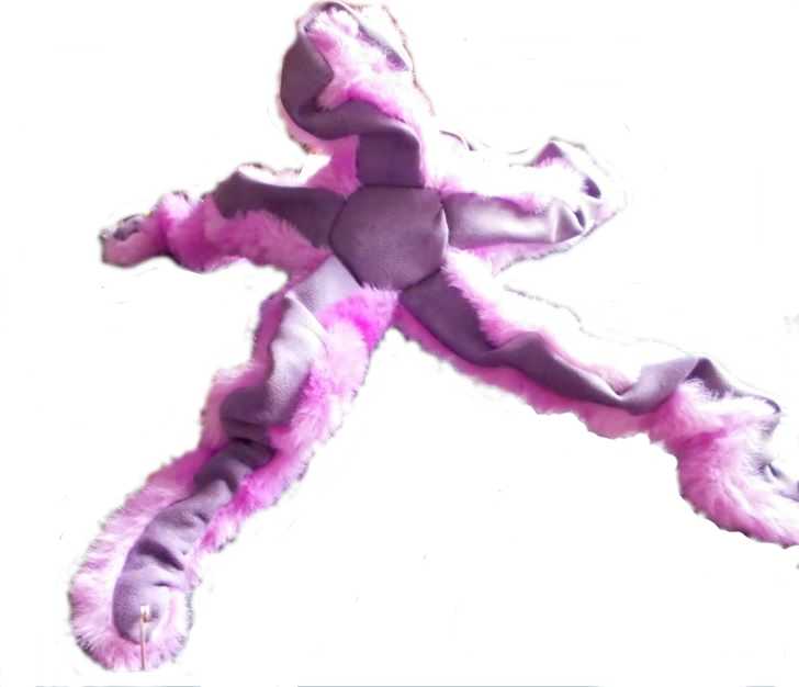 Chobotnice zespodu