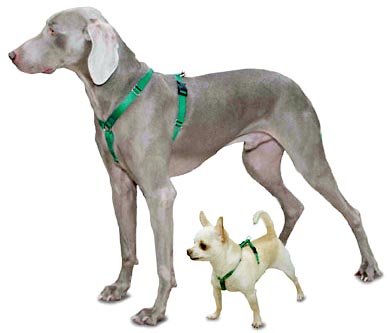 Sure-Fit postroje firmy Premier