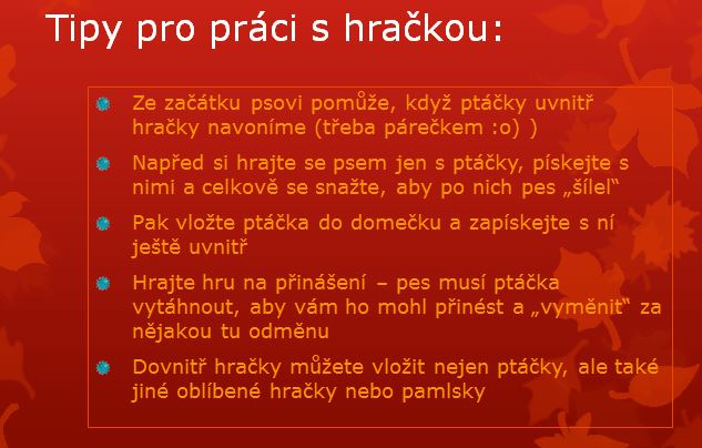 Tipy pro práci s Hide a Bird