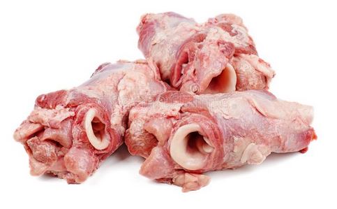 Trachea