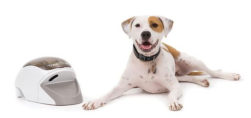 Treat Trainer