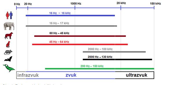 Zvuk