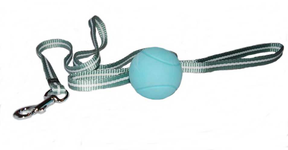 vodítko a míček ze soupravy